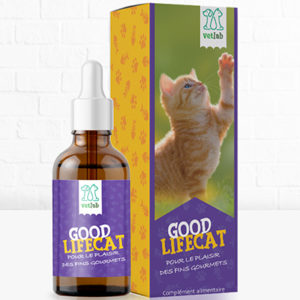 complément alimentaire chat