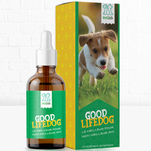 complément alimentaire chien