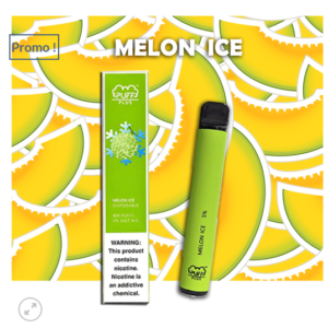 Melon glacé