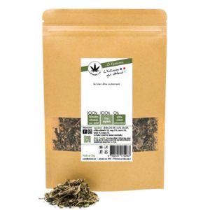 Tisane douleur menstruelle