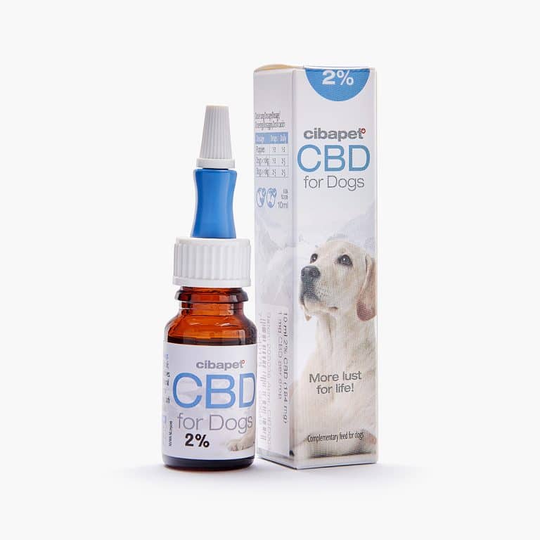 cbd chien chat