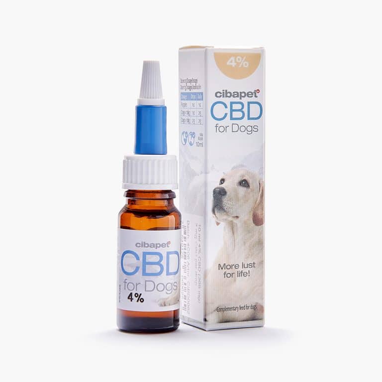 cbd chien