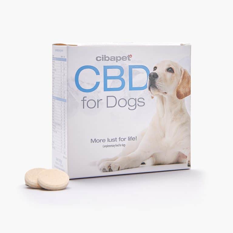 cbd pour chien