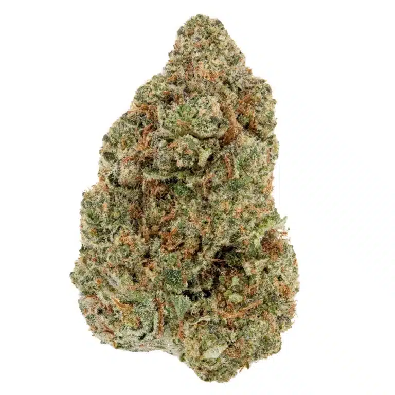 Le NBSH | Le CBD Ambulant NBSH