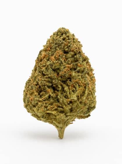 Berry Haze THV N10