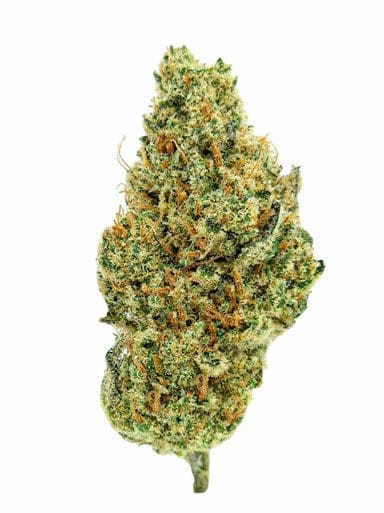 super gelato cbdx